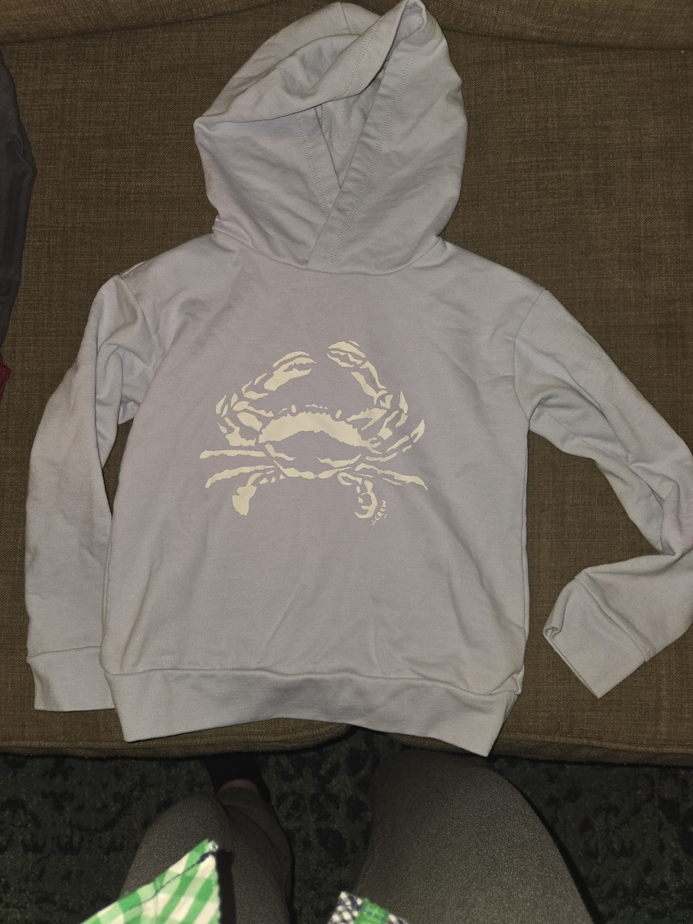 Crewcuts Light Blue Hoodie with White Crab Graphic